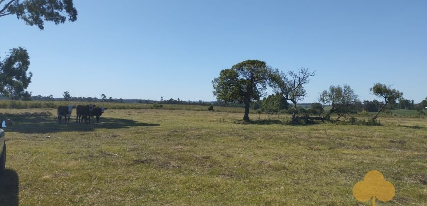 Chacra Estación Atlàntida