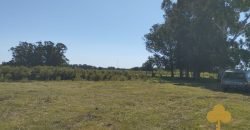 Chacra Estación Atlàntida