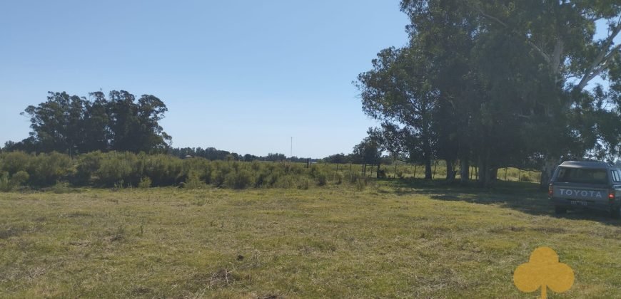 Chacra Estación Atlàntida