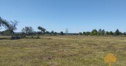Chacra Estación Atlàntida