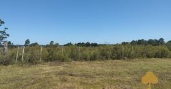 Chacra Estación Atlàntida