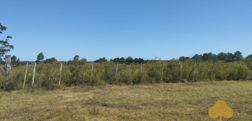 Chacra Estación Atlàntida