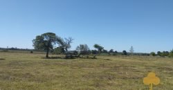 Chacra Estación Atlàntida