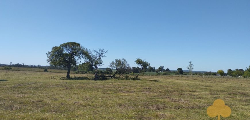 Chacra Estación Atlàntida