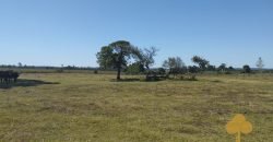 Chacra Estación Atlàntida