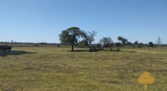 Chacra Estación Atlàntida