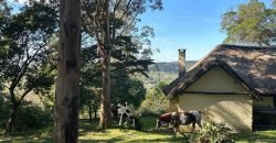 Casa en Villa Serrana