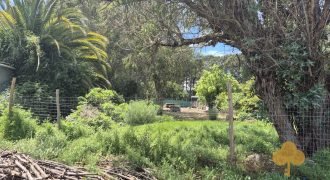 Terreno La Floresta Terreno La Floresta