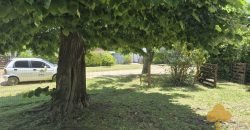 Colonia Este. Disponible a partir de febrero