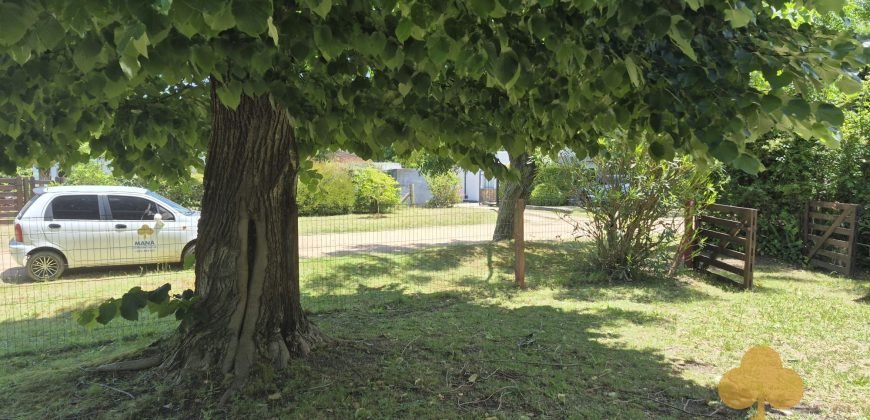 Colonia Este. Disponible a partir de febrero