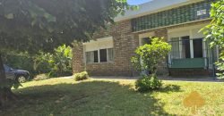 Colonia Este. Disponible a partir de febrero