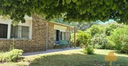 Colonia Este. Disponible a partir de febrero