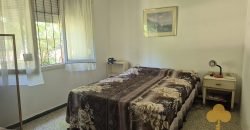 Colonia Este. Disponible a partir de febrero