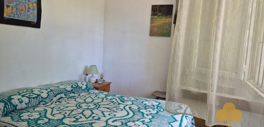 Colonia Este. Disponible a partir de febrero