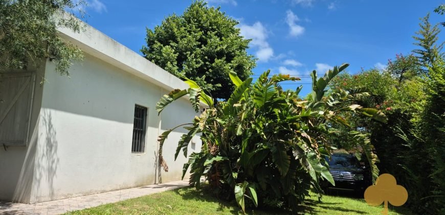 Colonia Este. Disponible a partir de febrero