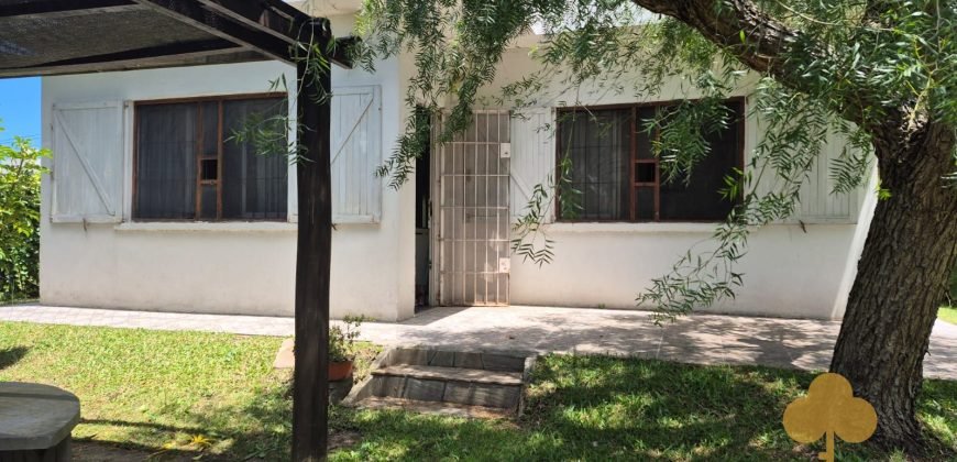 Colonia Este. Disponible a partir de febrero