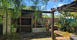 Colonia Este. Disponible a partir de febrero