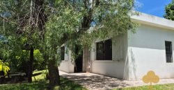 Colonia Este. Disponible a partir de febrero