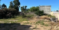 Terreno City Golf Terreno City Golf