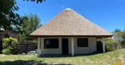 Paja Brava Paja Brava