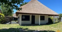 Paja Brava Paja Brava