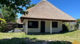 Paja Brava Paja Brava