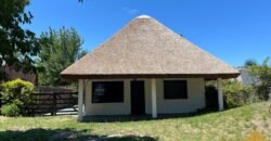 Paja Brava Paja Brava