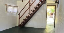 Paja Brava Paja Brava