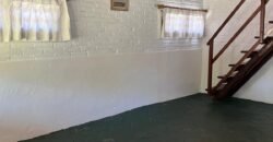 Paja Brava Paja Brava