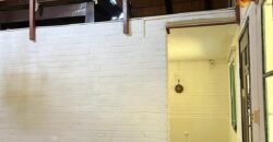 Paja Brava Paja Brava