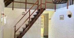 Paja Brava Paja Brava