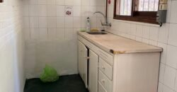 Paja Brava Paja Brava