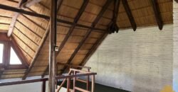 Paja Brava Paja Brava