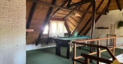 Paja Brava Paja Brava