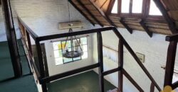 Paja Brava Paja Brava