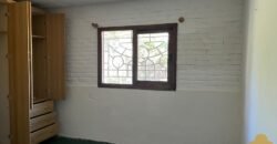 Paja Brava Paja Brava