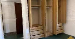 Paja Brava Paja Brava