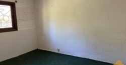 Paja Brava Paja Brava