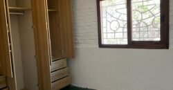 Paja Brava Paja Brava