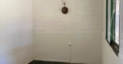 Paja Brava Paja Brava