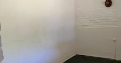 Paja Brava Paja Brava