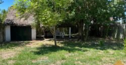 Paja Brava Paja Brava