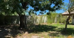 Paja Brava Paja Brava