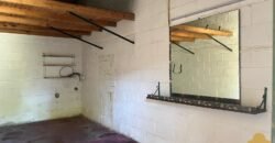 Paja Brava Paja Brava