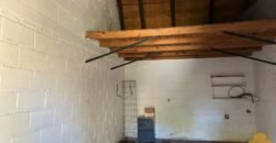 Paja Brava Paja Brava