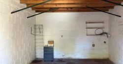 Paja Brava Paja Brava