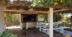 Paja Brava Paja Brava