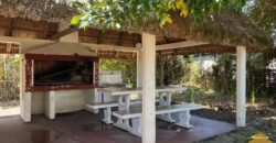 Paja Brava Paja Brava