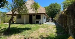 Paja Brava Paja Brava