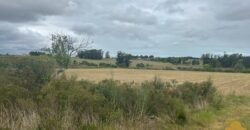 Chacra Ruta 8 Chacra Ruta 8